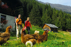 Escursioni tra le Alpi tirolesi nella Valle dello Stubai nelle vostre vacanze estive Wandern im Stubaital in den Tiroler Alpen
